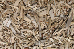 biomass boilers Caxton