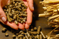 free Caxton biomass boiler quotes